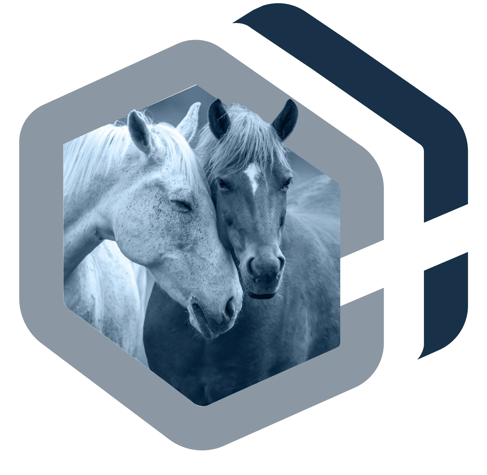 Shiloh Scientific — two horses with hexagonal brand mark