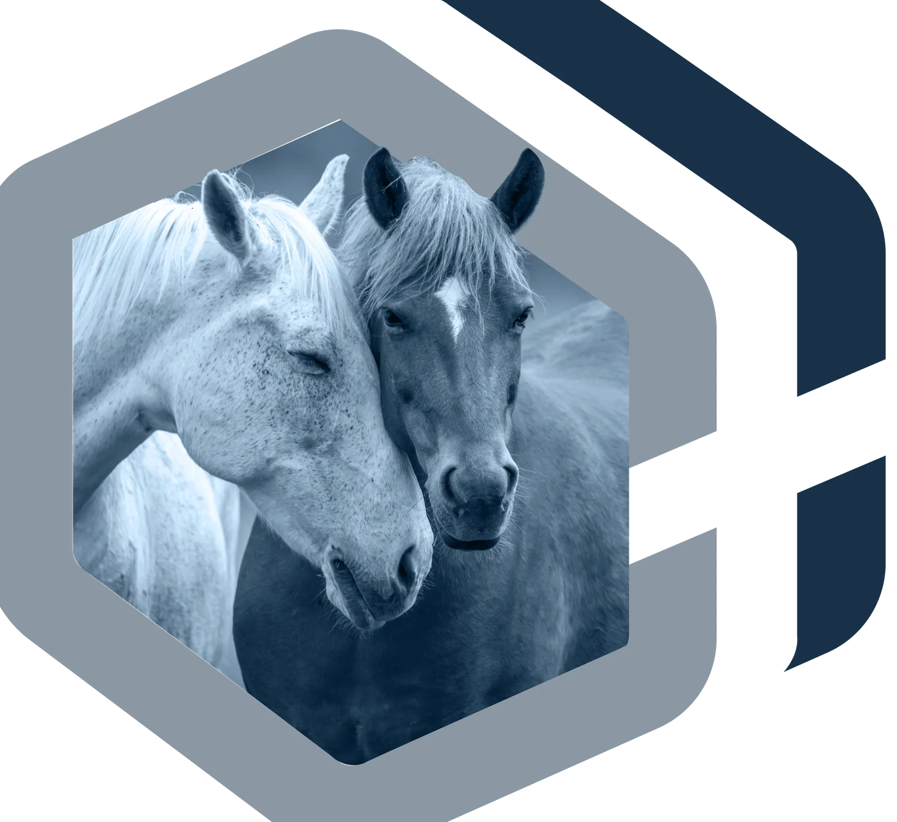Shiloh Scientific — two horses with hexagonal brand mark